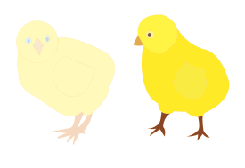 Chicks Figure Color