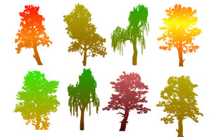 Colorful Tree Silhouettes